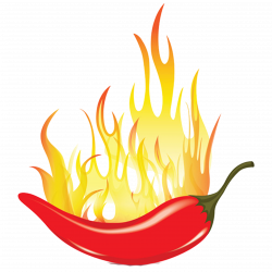 Chili pepper Mexican cuisine Capsicum Spice - Fire pepper 2362*2362 ...