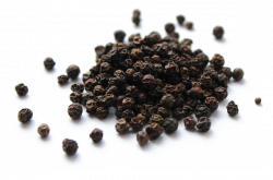 Black pepper PNG images free download