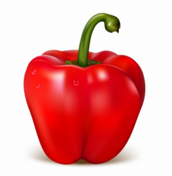 Red Pepper-vector Trust To Nature-free Vector Free Download