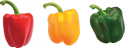 Peppers Icons PNG - Free PNG and Icons Downloads