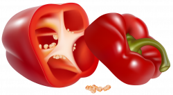 Red Pepper PNG Clipart Picture | Gallery Yopriceville - High ...