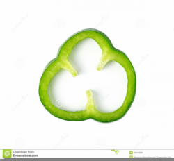 Sliced Green Pepper Clipart | Free Images at Clker.com ...