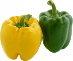 Download PEPPER Free PNG transparent image and clipart