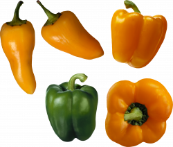 Bell Pepper Two | Isolated Stock Photo by noBACKS.com
