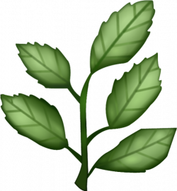 Herb PNG Transparent Images | PNG All