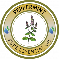 Peppermint Essential Oil - Essential Oils Supplies USA