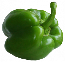 Green Pepper PNG Picture | Gallery Yopriceville - High-Quality ...
