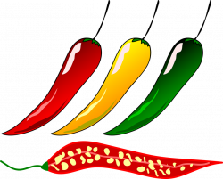 19 Chili clipart HUGE FREEBIE! Download for PowerPoint presentations ...
