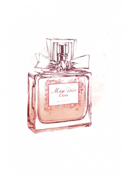 28+ Collection of Miss Dior Perfume Drawing | High quality, free ...