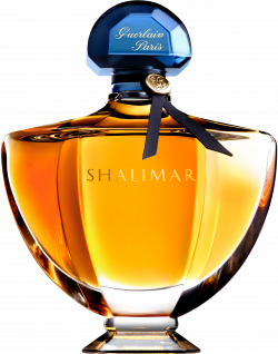Perfume PNG Transparent Free Images | PNG Only