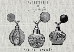 Vintage French Perfume Bottles & Labels Clipart for Transfer ...