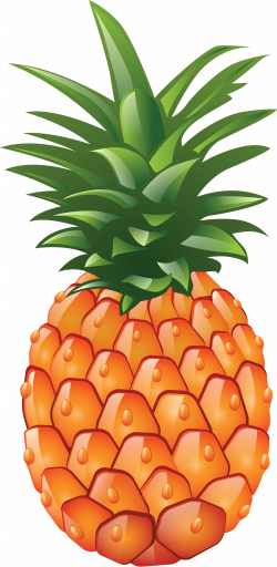 Download Pineapple Png Image Download HQ PNG Image | FreePNGImg