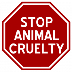 New York State Animal Rights Legislation – Verona Street Animal Society