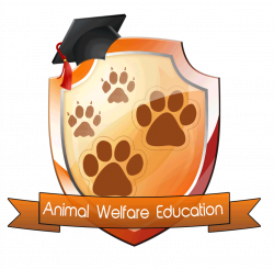 Animal Welfare Education | Educating the community about the ...