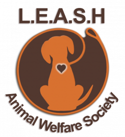 Pets for Adoption at L.E.A.S.H. Animal Welfare Society, in Pitt ...