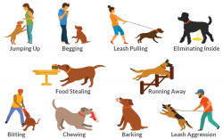 10 Common Dog Behavior Problems And How To Solve Them ...
