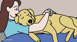 11 Ways Your Dog Says “I Love You”