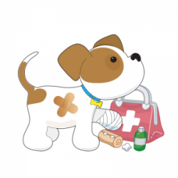 Get Certified in Pet CPR & First Aid - The Good Dog Spot