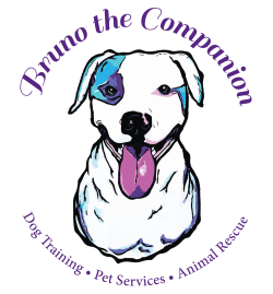 Bruno The Companion – Dog Training, Pet Services, Animal Rescue ...