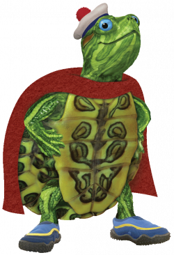 Turtle Tuck – Nickelodeon Universe