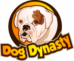 DogDynasty