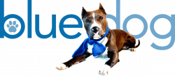 Blue Dog K9 Care | We're man's best friends, best friend!