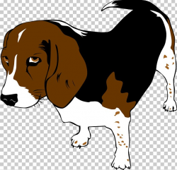 Beagle Puppy Mans Best Friend PNG, Clipart, Animal, Animal ...