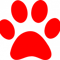 Redpaw Pet Supplies (@RedpawProducts) | Twitter