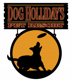 New Dogs — Dog Holliday's Pet Resort