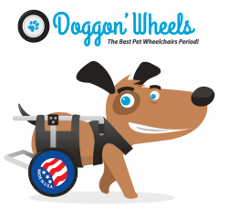 The Best Dog Wheelchairs Period. | Doggon Wheels