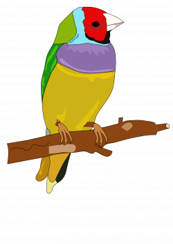 Clipart - bird