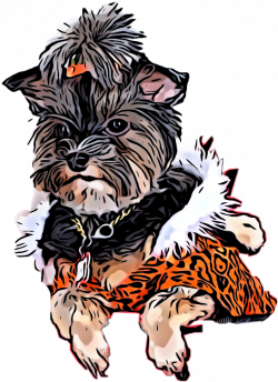 19 Yorkie clipart HUGE FREEBIE! Download for PowerPoint ...