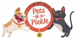 Pet Insurance For Cats & Dogs | Pets In A Pickle
