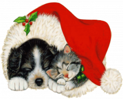 Pet Photos with Santa - Wyomissing, PA | BerksFun.com kids events in ...