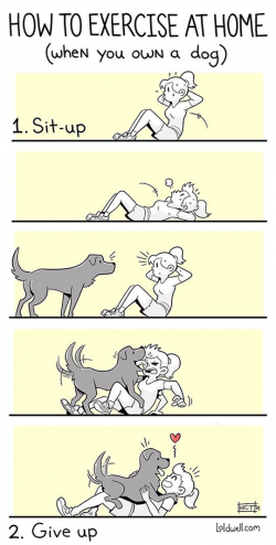 How To Exercise With A Dog | Hahah | Dogs, I love dogs, Dog love