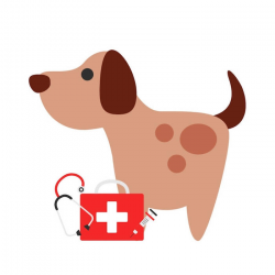 Do you have a pet first-aid kit? - The Tampa Bay 100