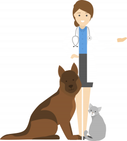 Veterinary Single Pet Savings Plan | Med Plus Discounts