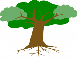 Tree Cartoon Png#4074262 - Shop of Clipart Library