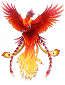 Secrets of the Phoenix on Behance | Slots | Pinterest | Phoenix ...