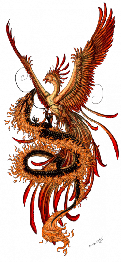 Phoenix Chinese dragon Fenghuang Tattoo - Phoenix Tattoos PNG ...