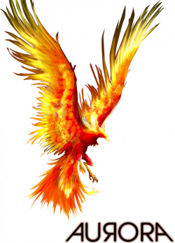 the phoenix | Render Fantastique - Renders Phenix Phoenix Faisan ...