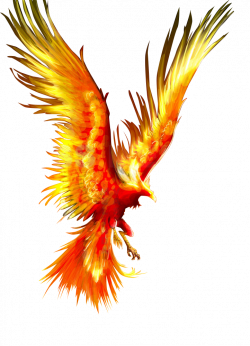 Phoenix Firebird Tattoo Mythology - Fireworks Phoenix 722*1000 ...