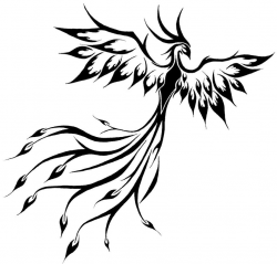Image detail for -Phoenix Tattoo Pattern62 Phoenix tattoo ...
