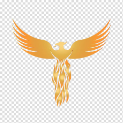 Orange phoenix animated illustration, Logo Phoenix Graphic ...