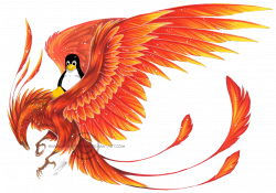 Mythical creature phoenix clipart images gallery for free ...