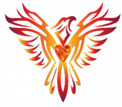 Phoenix T-shirt Clip art - phoenix wings 700*612 transprent Png Free ...