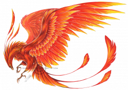 PHOENIX - a golden-red bird that consisted of ony 1 animal, as only ...