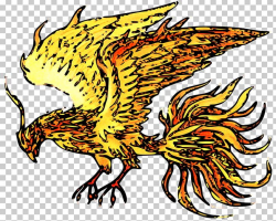 Phoenix Mythology Symbol Time PNG, Clipart, Artwork, Beak ...