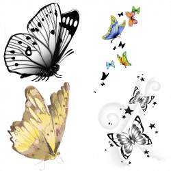 Use these sample clipart items from the Butterfly Clip...