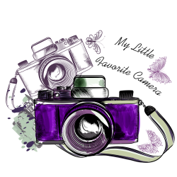Camera Photography Clip art - Purple simple camera decoration ...